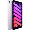 iPad mini (2024)
