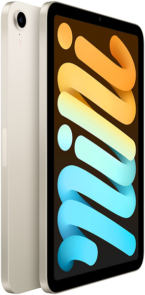 iPad mini 2021